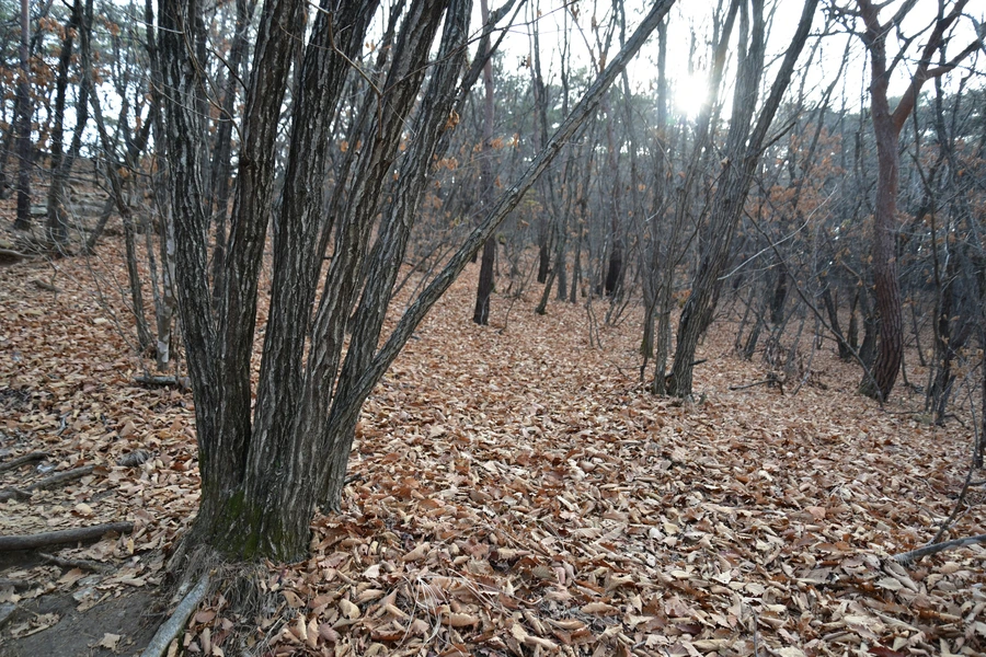 SE-34e7f6ec-9350-4513-b510-6d2f8206d235.jpg?type=w1