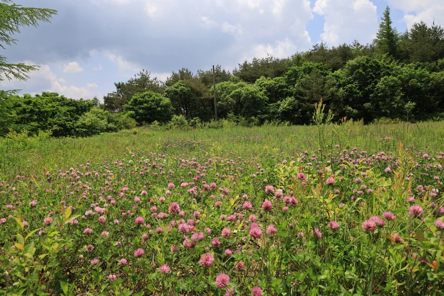 SE-52a77da9-4ec9-437a-96ea-70339c0d8f99.jpg?type=w1