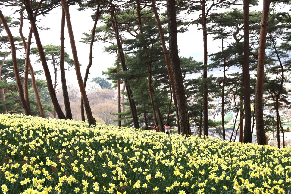 4%EC%9B%945%EC%9D%BC_(67).JPG?type=w966