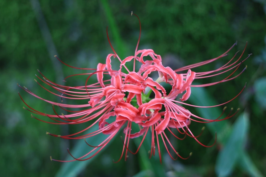 SE-4f8ff362-f648-4f49-9bd9-8861bac7c3f1.jpg?type=w1