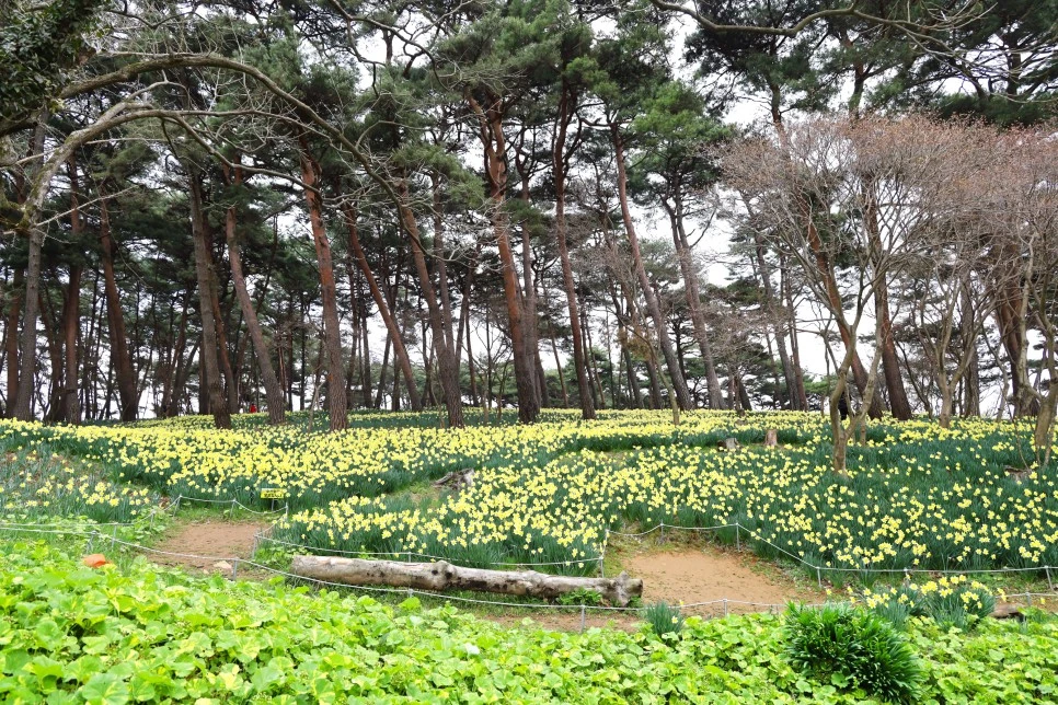 4%EC%9B%945%EC%9D%BC_(21).JPG?type=w966