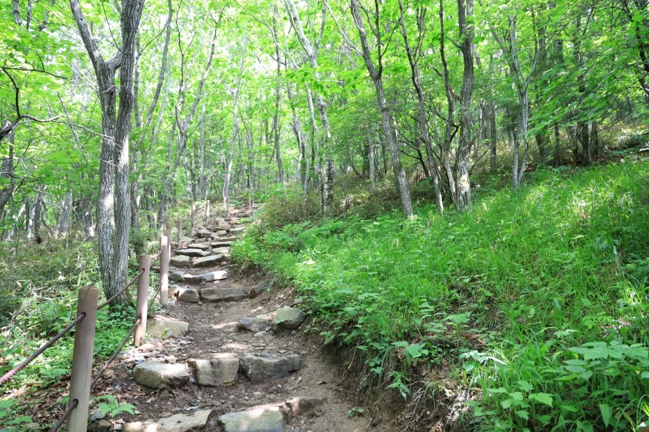 6%EC%9B%9414%EC%9D%BC_(111).JPG?type=w1