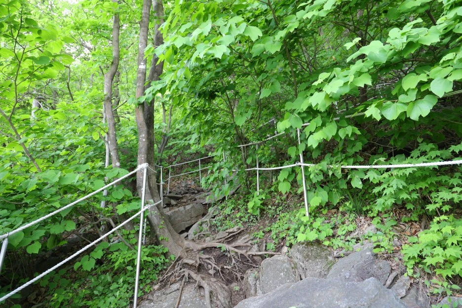 5%EC%9B%9410%EC%9D%BC_(18).JPG?type=w1