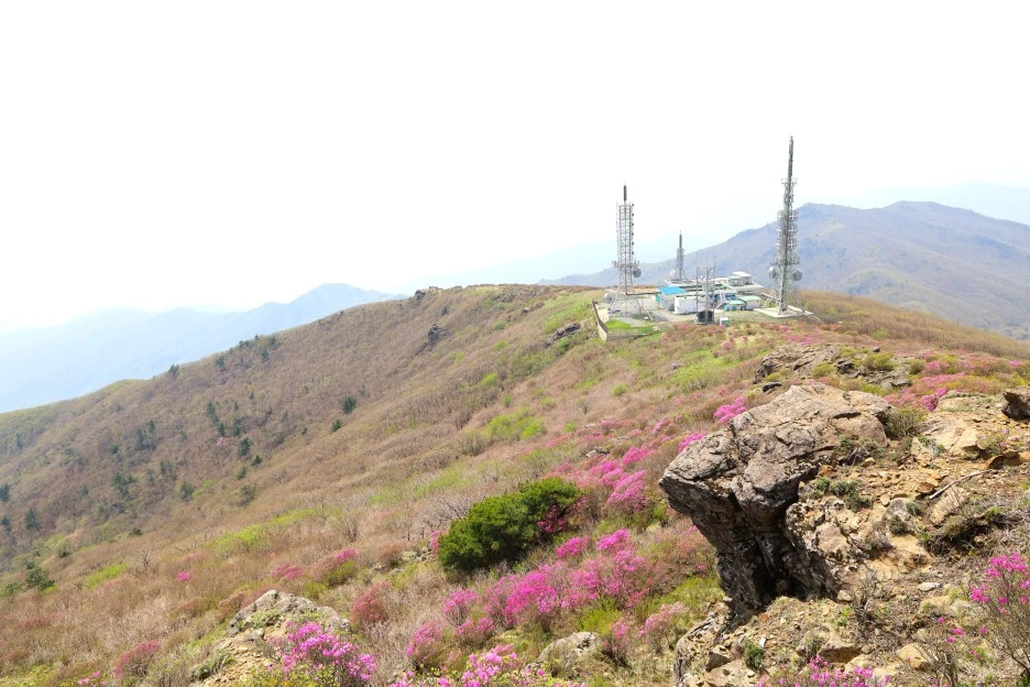 4%EC%9B%9428%EC%9D%BC_(86).JPG?type=w1