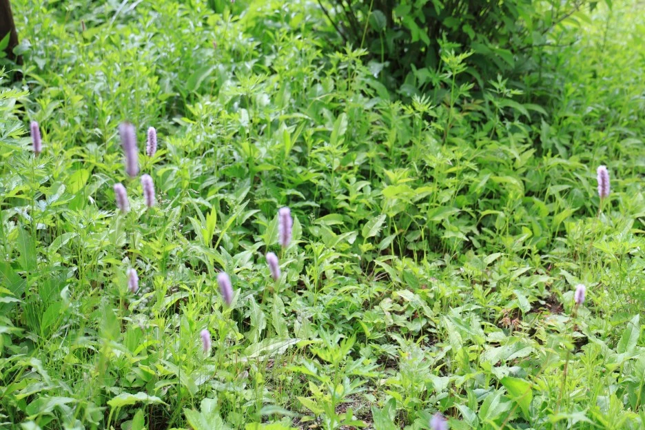 6%EC%9B%9414%EC%9D%BC_(114).JPG?type=w1