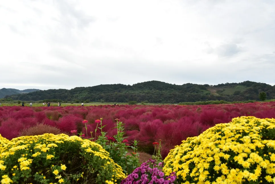 10%EC%9B%9414%EC%9D%BC_(19).JPG?type=w966