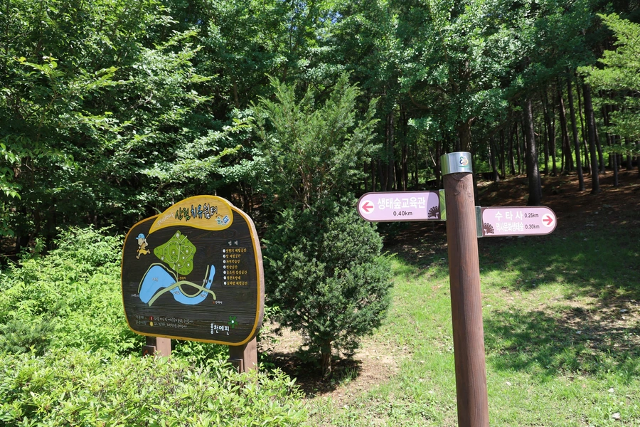 SE-8dac0563-3714-474e-81ea-3e882605966b.jpg?type=w1