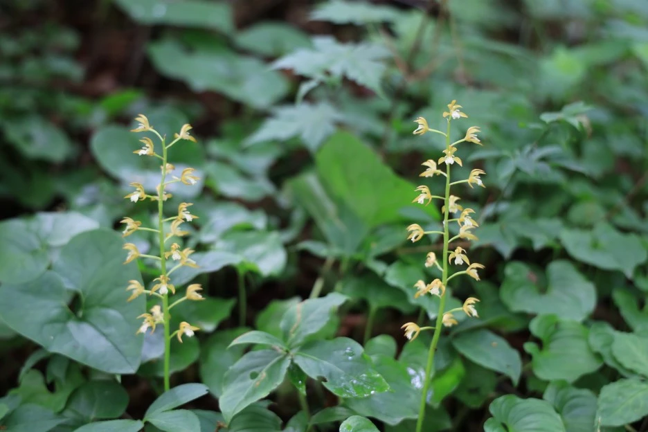 6%EC%9B%9414%EC%9D%BC_(102).JPG?type=w1