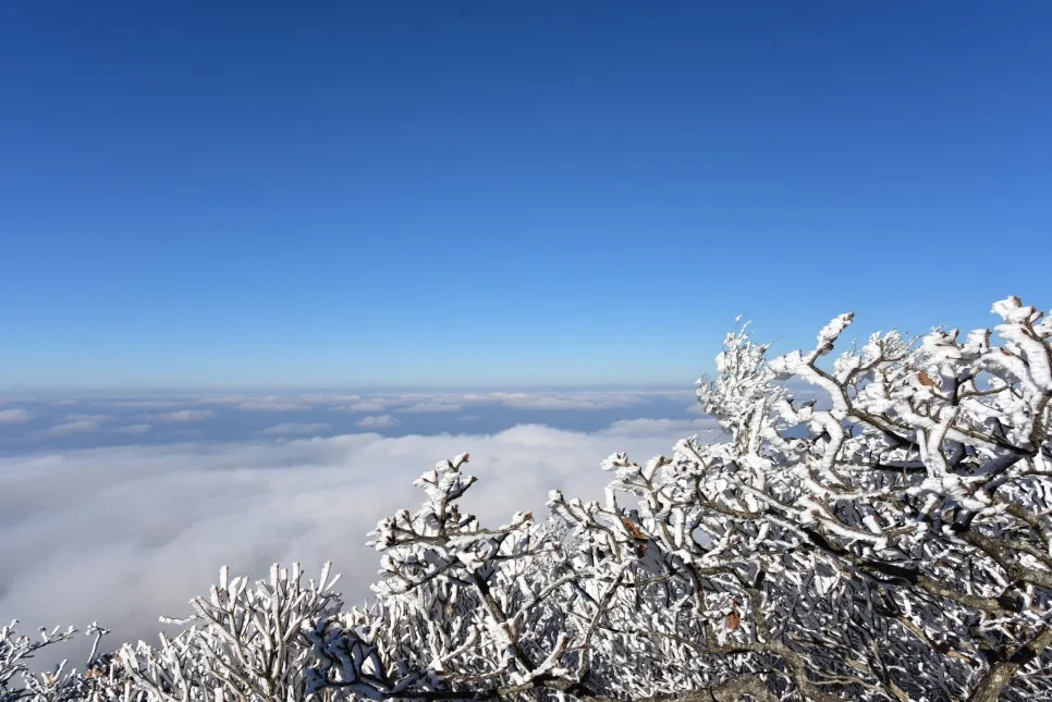 11%EC%9B%9426%EC%9D%BC_(87).JPG?type=w966