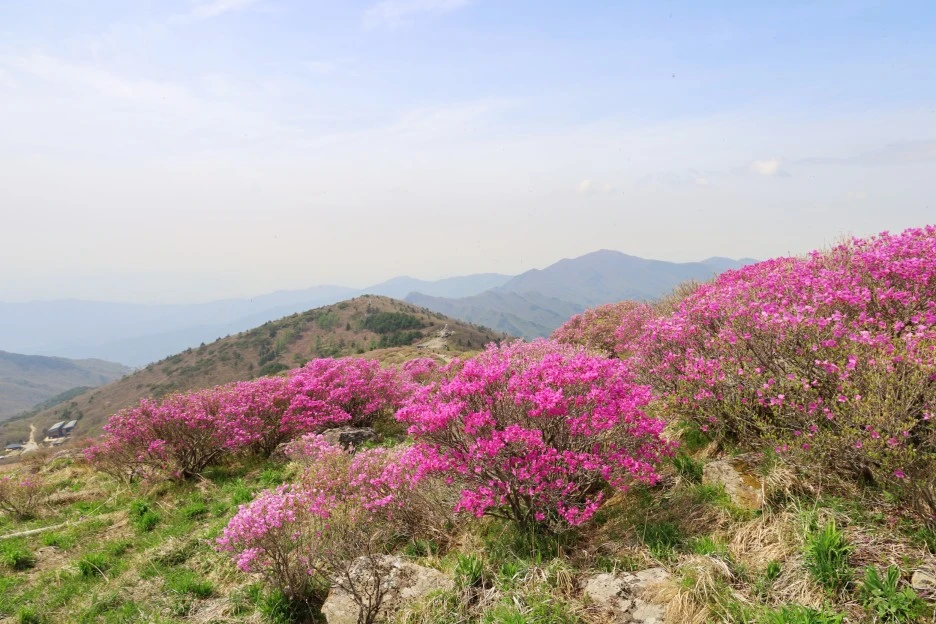 4%EC%9B%9428%EC%9D%BC_(118).JPG?type=w1