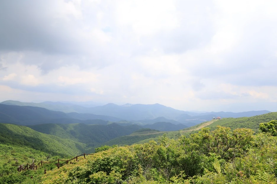 6%EC%9B%9414%EC%9D%BC_(200).JPG?type=w1