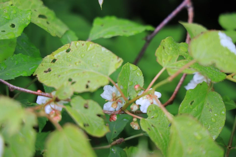 6%EC%9B%9414%EC%9D%BC_(281).JPG?type=w1