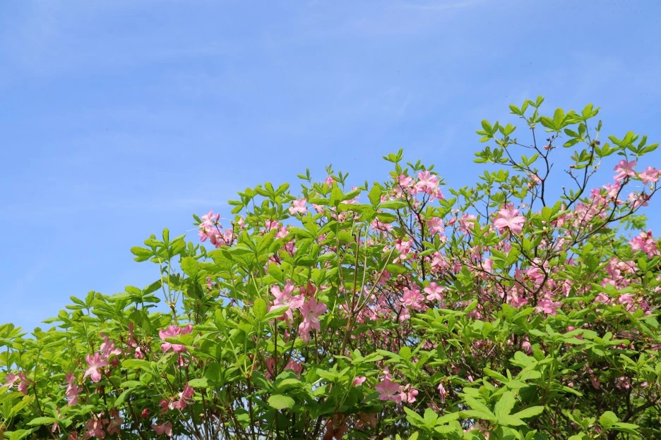 5%EC%9B%9410%EC%9D%BC_(72).JPG?type=w1