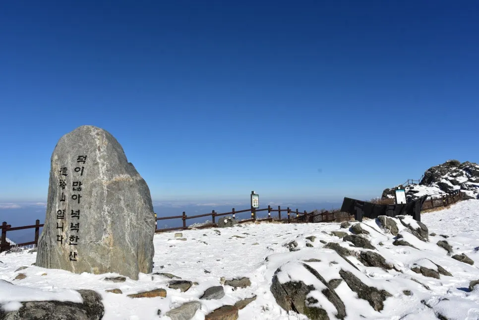 11%EC%9B%9426%EC%9D%BC_(184).JPG?type=w966