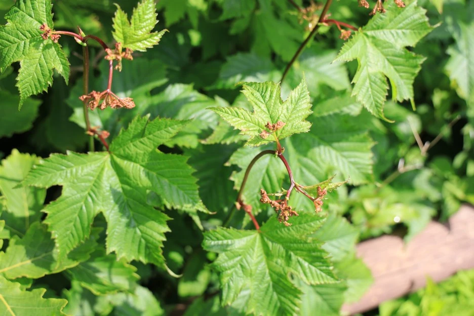 6%EC%9B%9414%EC%9D%BC_(135).JPG?type=w1