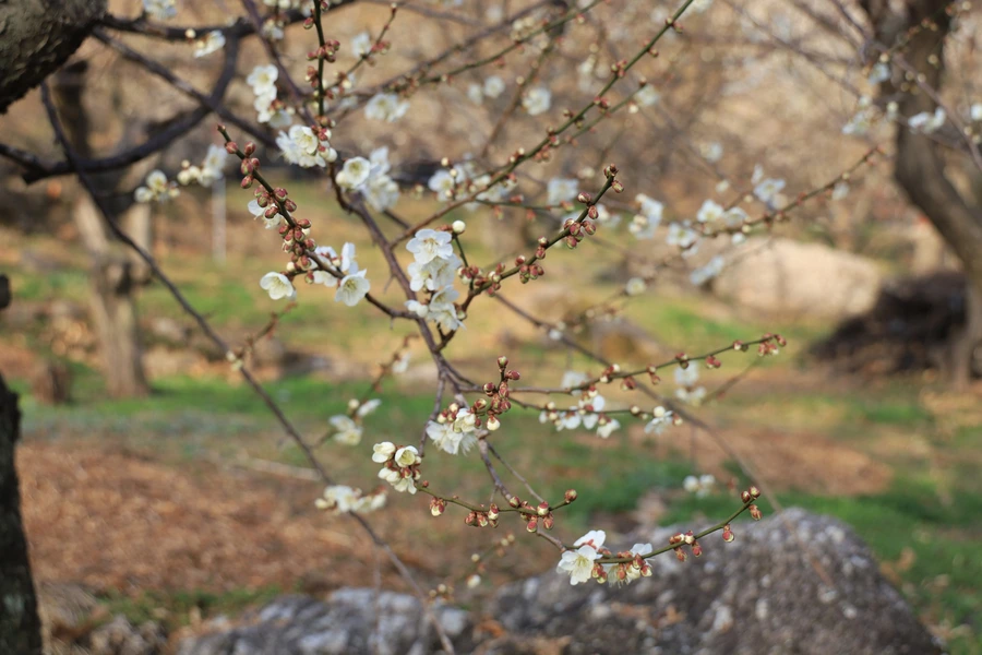 SE-f5f035c3-dbbd-466f-b686-c6099d348a31.jpg?type=w1