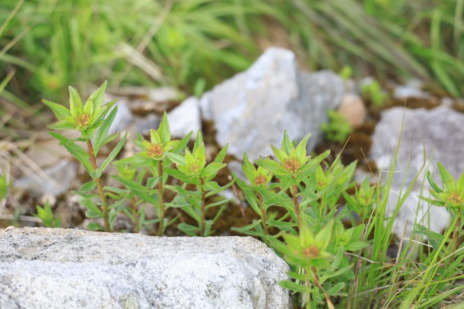 6%EC%9B%9414%EC%9D%BC_(162).JPG?type=w1