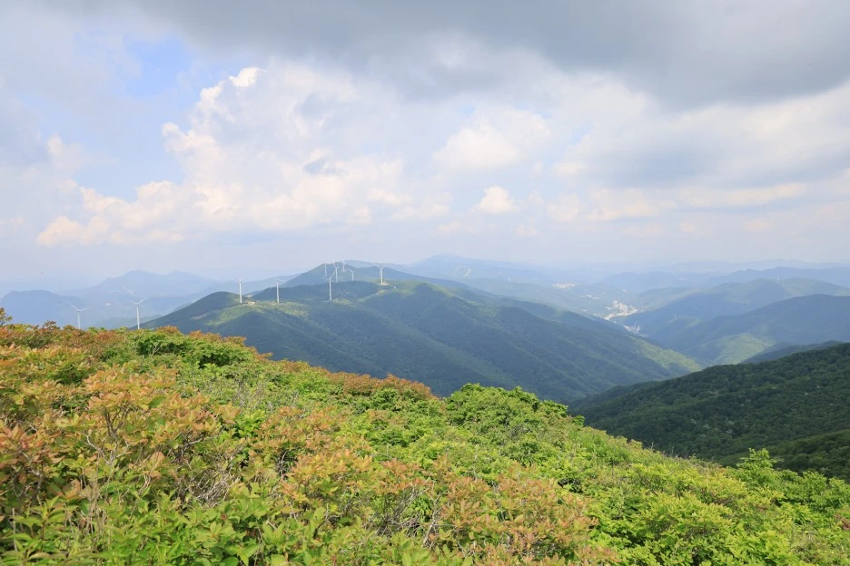 6%EC%9B%9414%EC%9D%BC_(203).JPG?type=w1