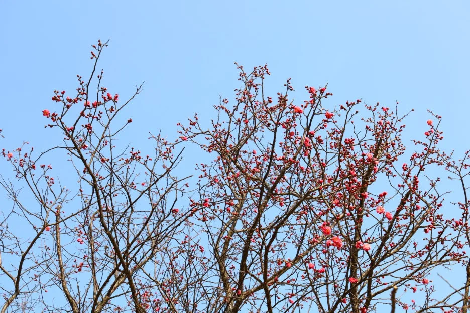 2%EC%9B%9426%EC%9D%BC_(156).JPG?type=w1