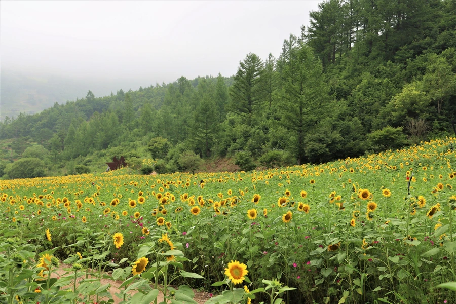 SE-08864669-d4dc-4794-90f6-5c9f2f786878.jpg?type=w1