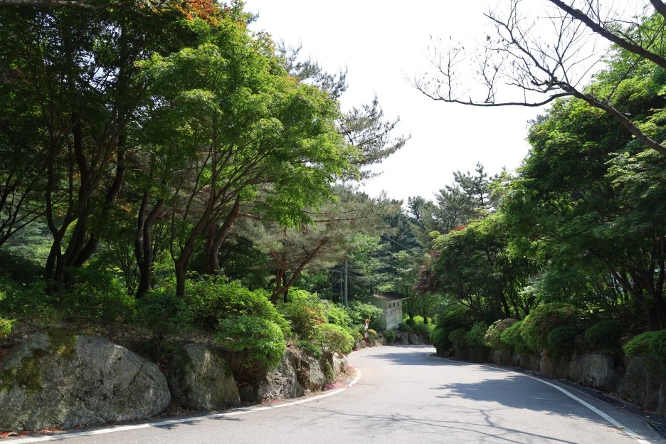 5%EC%9B%9410%EC%9D%BC_(198).JPG?type=w1