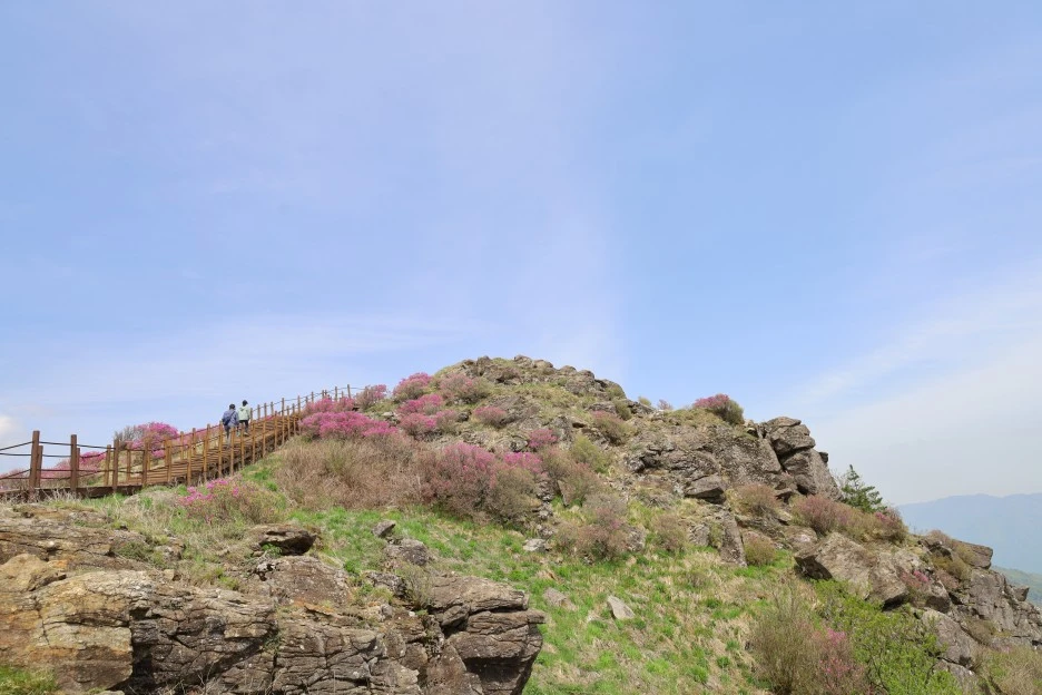 4%EC%9B%9428%EC%9D%BC_(95).JPG?type=w1