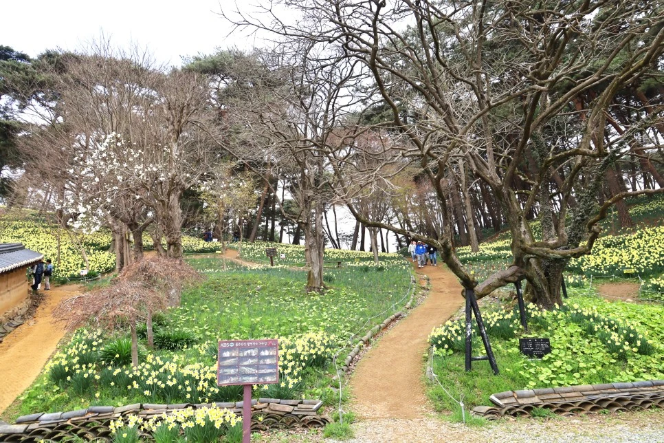 4%EC%9B%945%EC%9D%BC_(18).JPG?type=w966