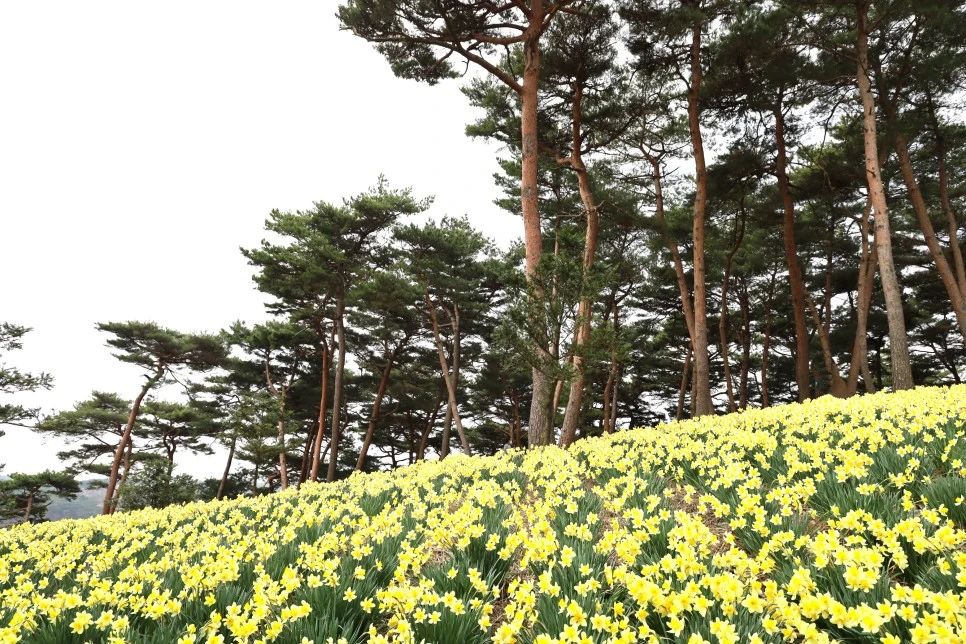 4%EC%9B%945%EC%9D%BC_(51).JPG?type=w966