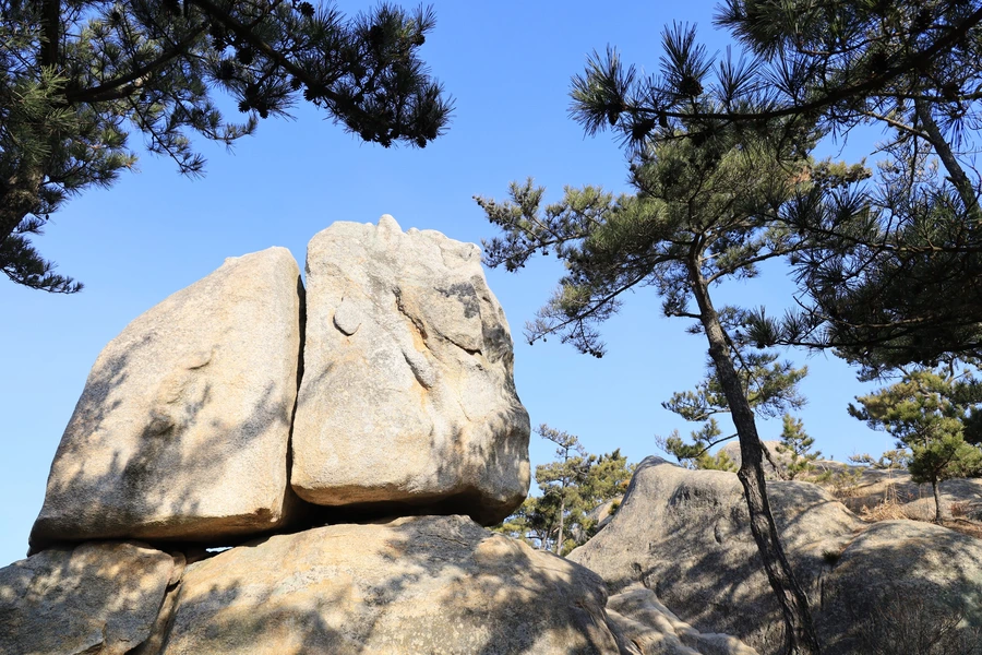 SE-e199e53a-2643-4deb-b6cf-19ed1e144bca.jpg?type=w1