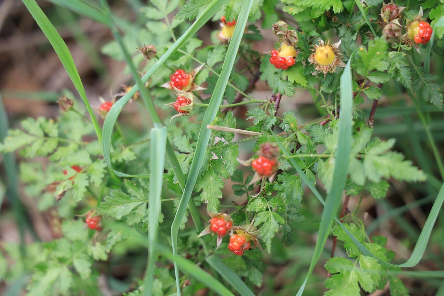 SE-3ed1a997-1039-4b3c-9db2-83b6c9382e4d.jpg?type=w1