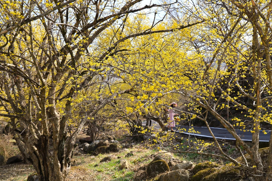 SE-cbea3c21-7aba-47ff-a1c7-708a32834735.jpg?type=w1