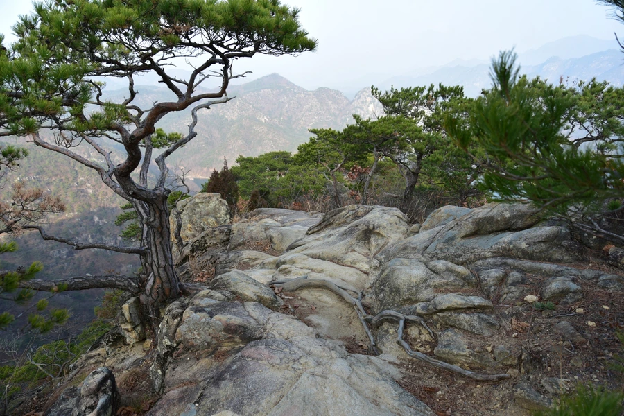 SE-44d046c1-2fbc-496b-bbea-15a1b69f4956.jpg?type=w1