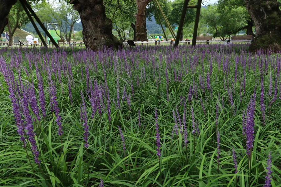 SE-ff174fb1-d610-4022-99a8-a86ed5fa866a.jpg?type=w1