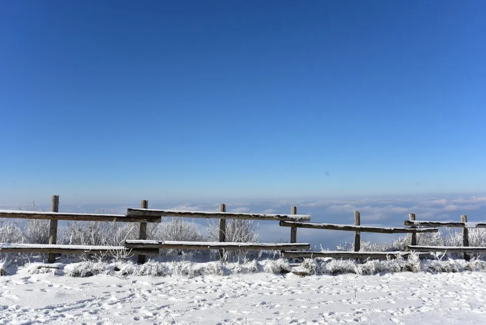 11%EC%9B%9426%EC%9D%BC_(56).JPG?type=w966