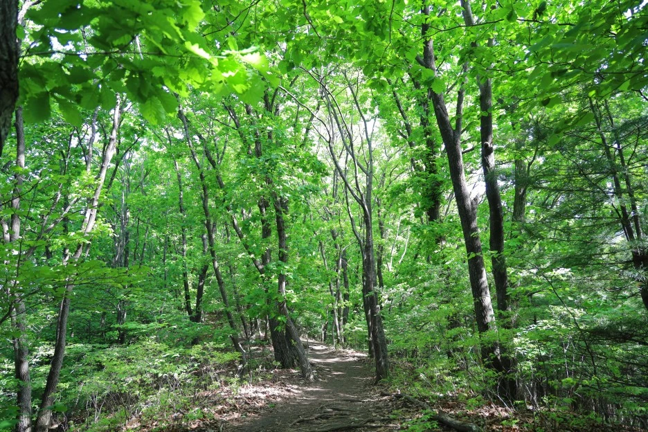 5%EC%9B%9410%EC%9D%BC_(26).JPG?type=w1