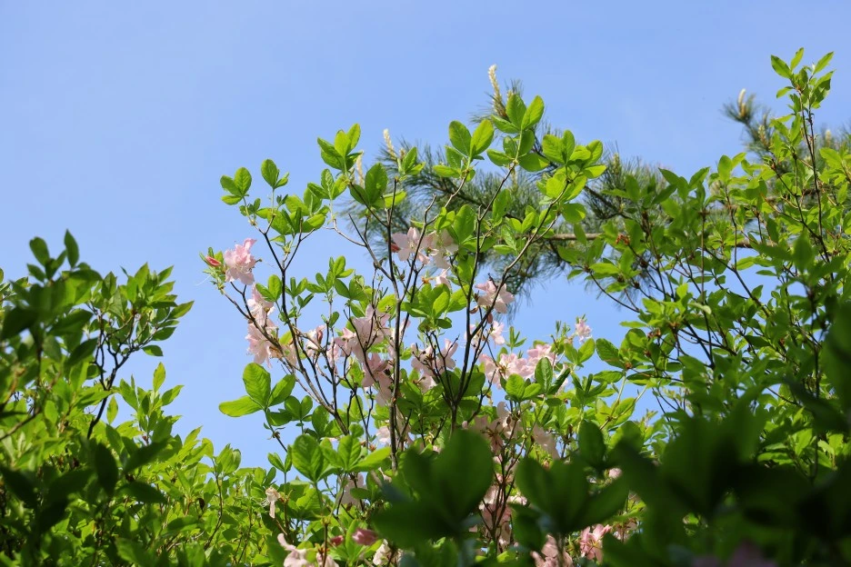 5%EC%9B%9410%EC%9D%BC_(34).JPG?type=w1