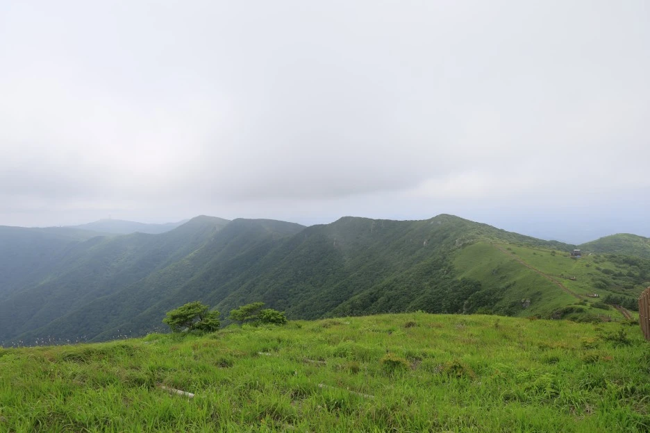 6%EC%9B%9428%EC%9D%BC_(276).JPG?type=w1