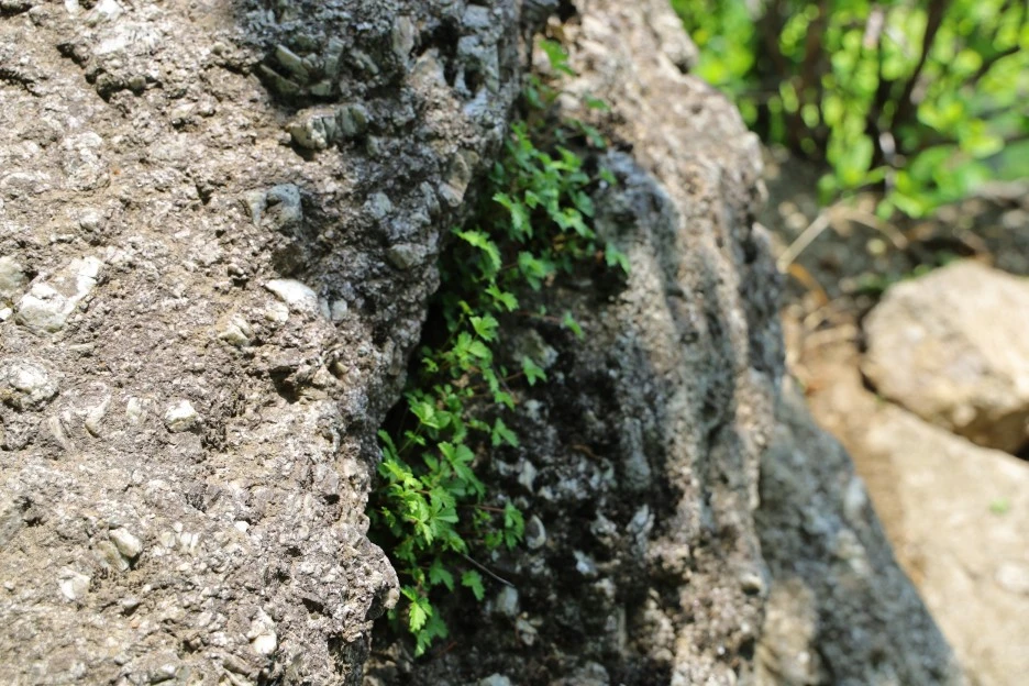 5%EC%9B%9410%EC%9D%BC_(152).JPG?type=w1