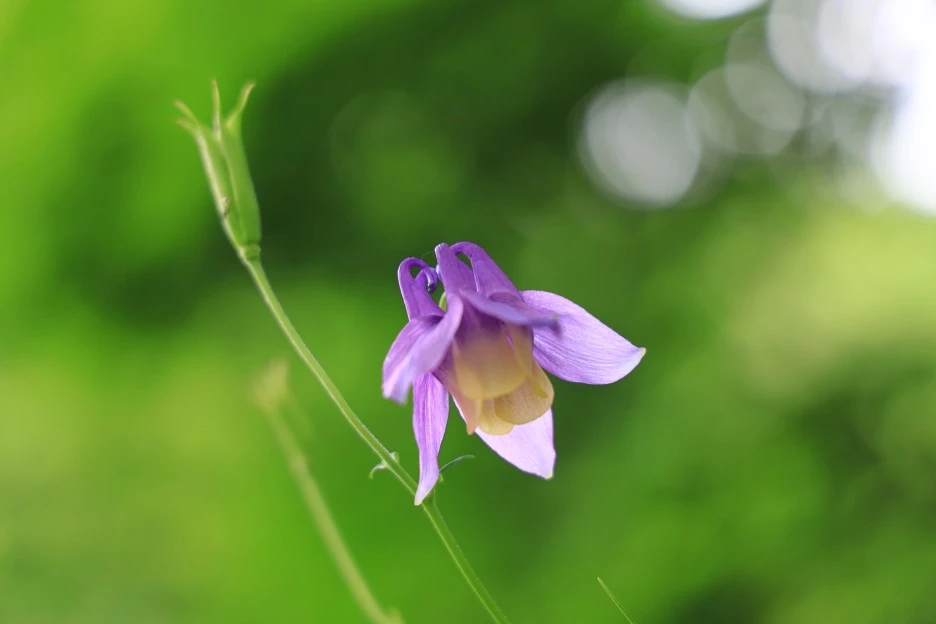 6%EC%9B%9414%EC%9D%BC_(318).JPG?type=w1