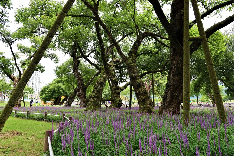 SE-692198a3-bacd-4efe-882b-69e8664ff7ee.jpg?type=w1