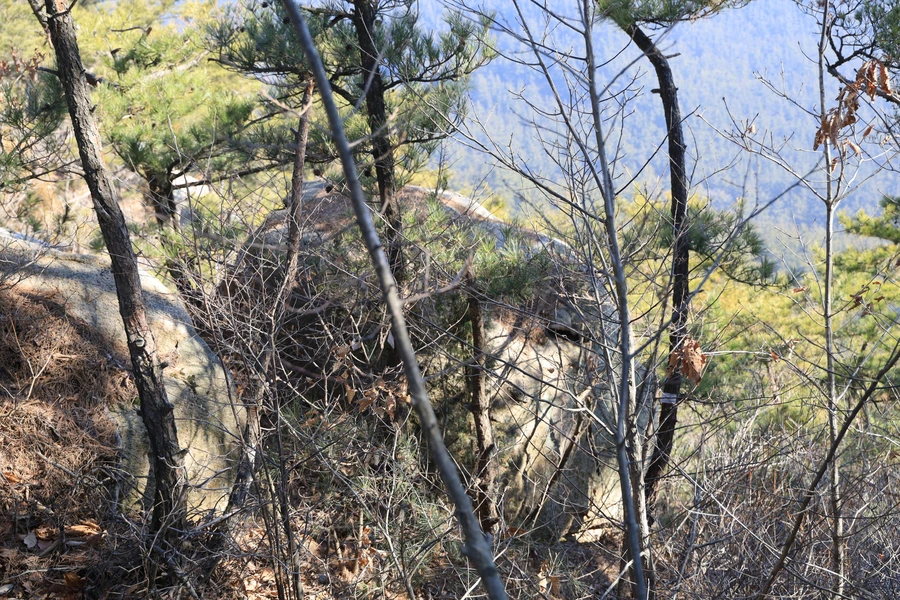 SE-85638e38-4f70-41af-ac5a-8b7311df7436.jpg?type=w1