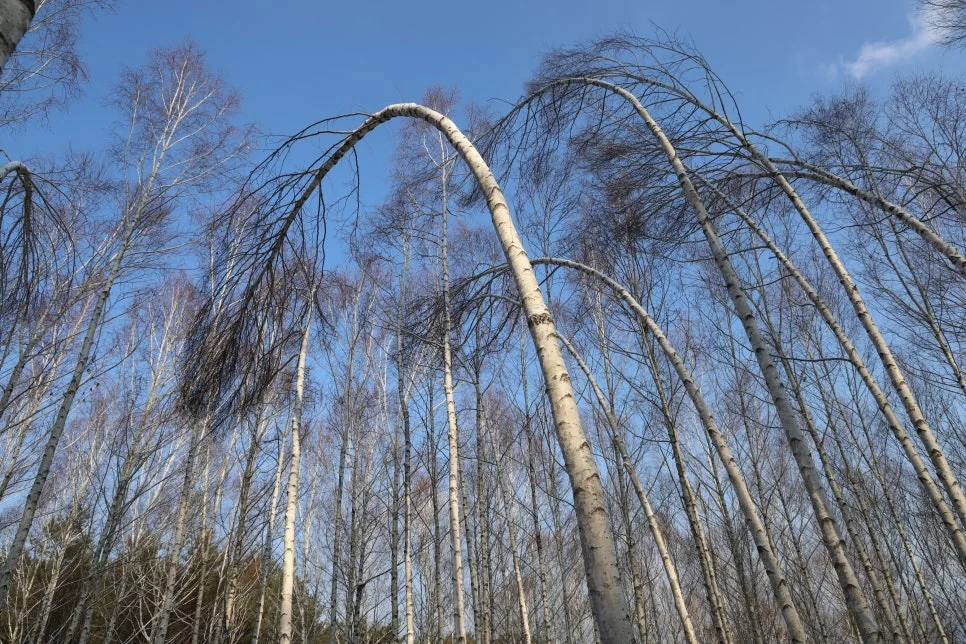 12%EC%9B%9426%EC%9D%BC_(25).JPG?type=w966