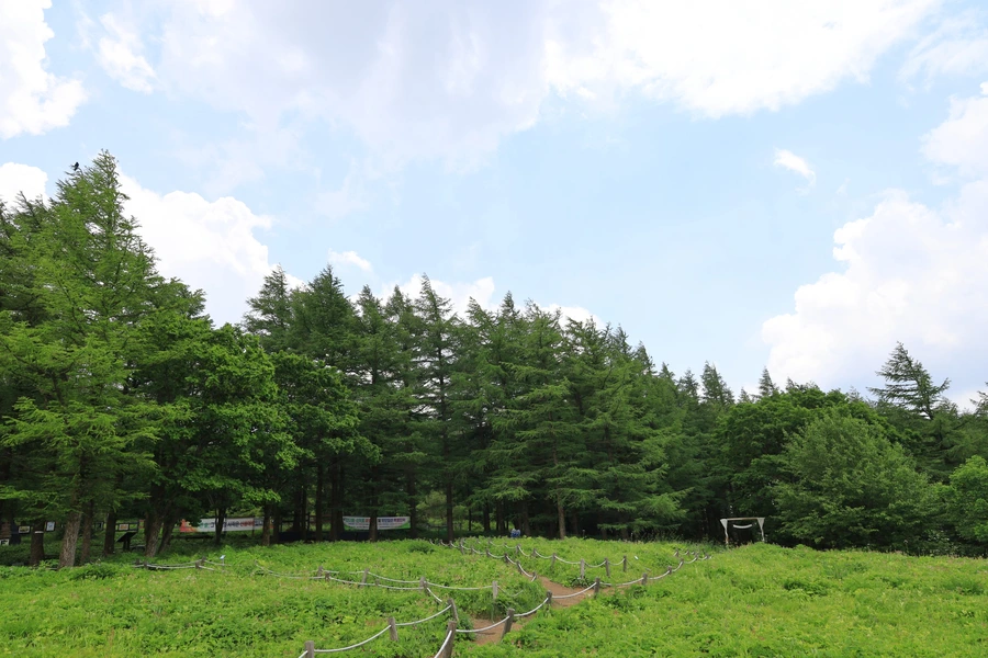 SE-b598d3e0-602b-43c1-a844-27efcfc9eed3.jpg?type=w1