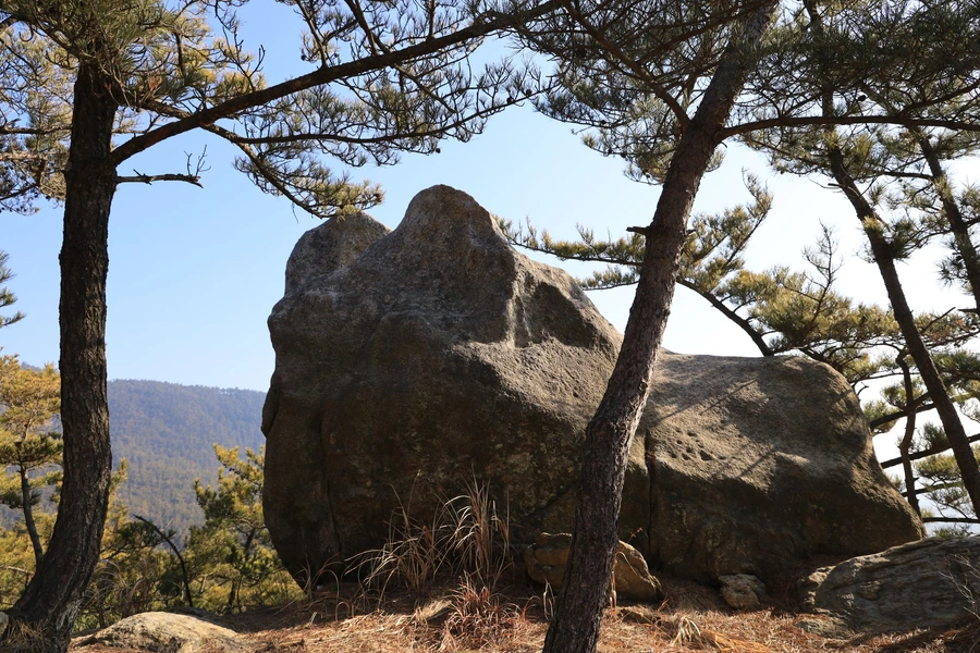 SE-fc7c5d6c-3800-4891-8264-63c345034bb0.jpg?type=w1