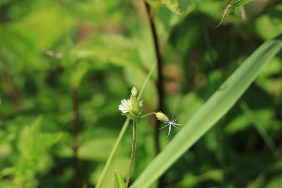 6%EC%9B%9414%EC%9D%BC_(190).JPG?type=w1