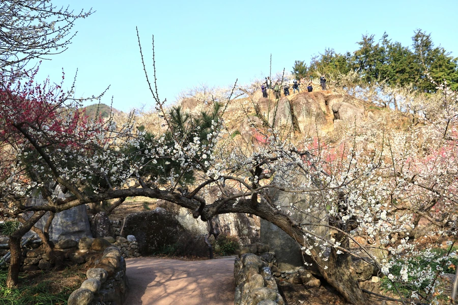 SE-2f36961c-d33e-480f-b56e-e4c651e73bba.jpg?type=w1