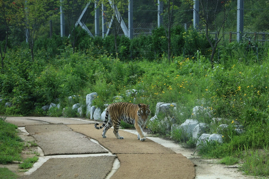 SE-d5b04c97-e8bd-4366-88a5-8edf751dd854.jpg?type=w1