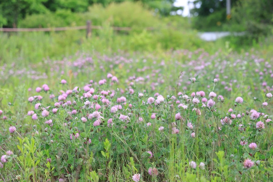 6%EC%9B%9414%EC%9D%BC_(71).JPG?type=w1