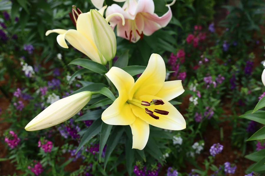 SE-9f7ab491-6384-4095-b855-cf8df0e9014b.jpg?type=w1