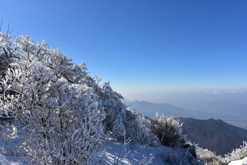 11%EC%9B%9426%EC%9D%BC_(191).JPG?type=w966